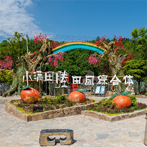 探索廬江楊家墩VR全景