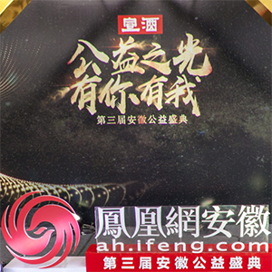 安徽公益盛典：鳳凰VR全景直擊