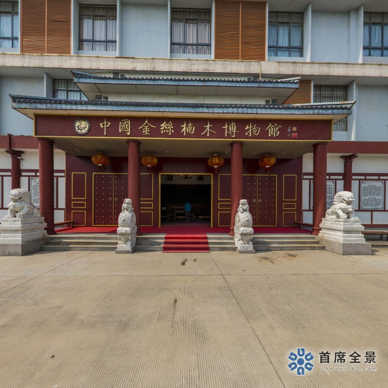領(lǐng)略金絲楠木奇觀，VR全景穿越中國